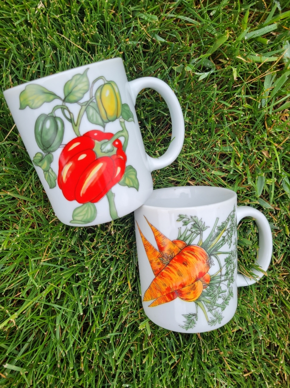 BIA Cordon Bleu Vegetable Print Mugs - Red Pepper & Orange Carrot ~ Cottage Farm